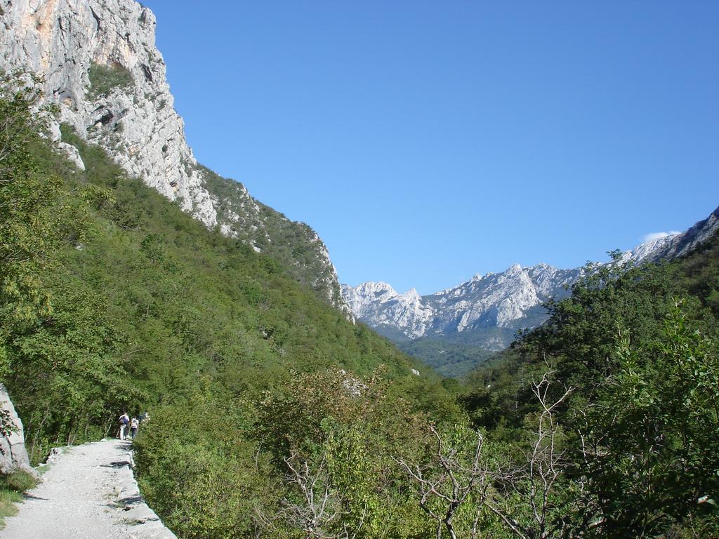 Holiday Home Paklenica ستاريغغاد باكلينتسا الغرفة الصورة