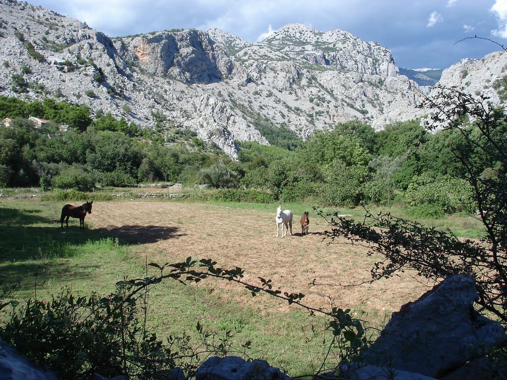 Holiday Home Paklenica ستاريغغاد باكلينتسا الغرفة الصورة