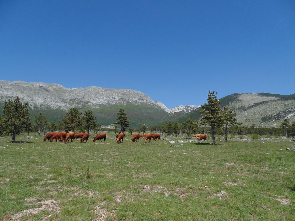 Holiday Home Paklenica ستاريغغاد باكلينتسا المظهر الخارجي الصورة