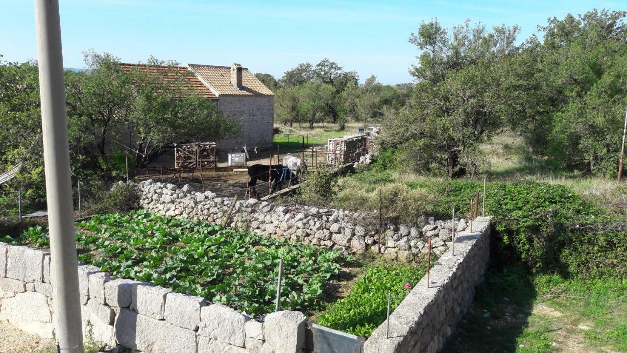 Holiday Home Paklenica ستاريغغاد باكلينتسا المظهر الخارجي الصورة